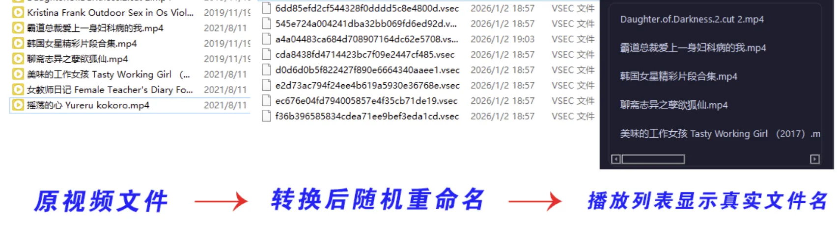 SecureVault Player V0.6.9 老司机专用播放器-私密视频防泄露工具 SecureVault Player V0.6.9 老司机专用播放器-私密视频防泄露工具